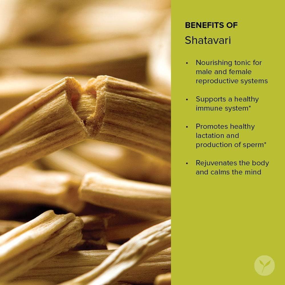 Banyan Botanicals Organic Shatavari Powder – Asparagus Racemosus – Ayurvedic Herb For Vata & Pitta, Balanced Female Hormones, Energy, Vitality & More* – 1/2Lb. ­– Non-Gmo Sustainably Sourced Vegan Ffl : Health & Household