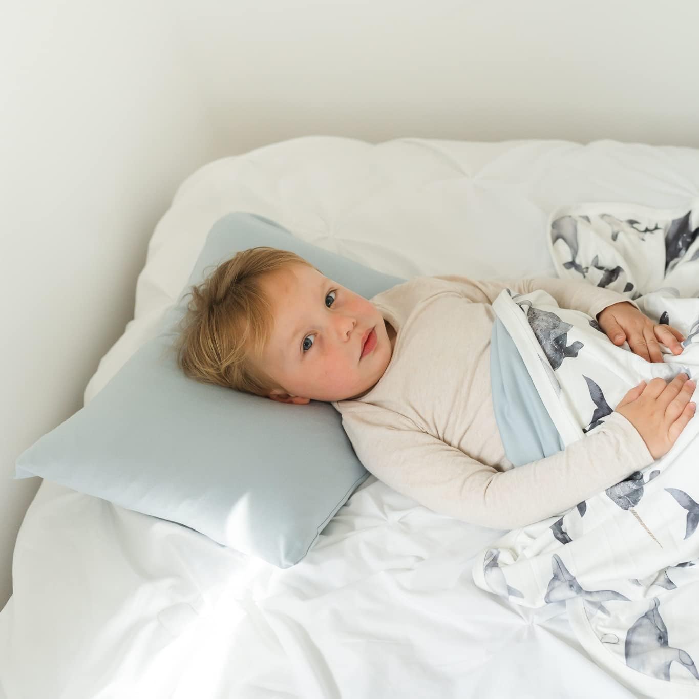 Pobibaby - 2 Pack Premium Toddler Solid Pillowcase - Ultra Soft Jersey Knit - Crib Pillow, Kids Pillow, Travel Pillow Case Cover (Baby Blue)