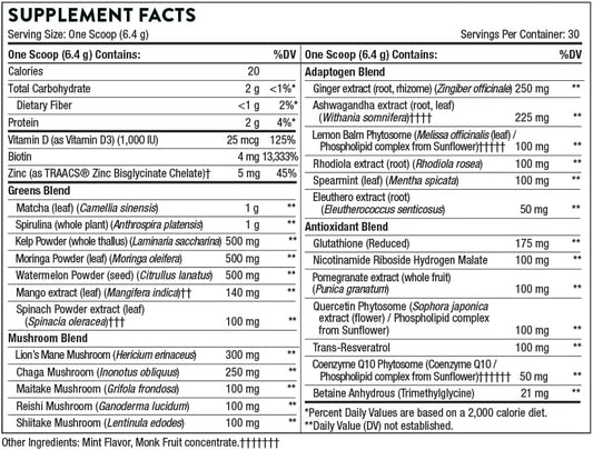 Thorne Daily Greens Plus - Comprehensive Greens Powder with Matcha, Spirulina, Moringa and Adaptogen, Mushroom and Antioxidant Blends - Refreshing, Mint avor 6. - 30 Servings