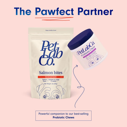 Petlab Co. Salmon Bites For Dogs – Premium Salmon Dog Treats With Beneficial Fatty Acids, Vitamins & Minerals - Carefully Selected Ingredients – Delicious Reward