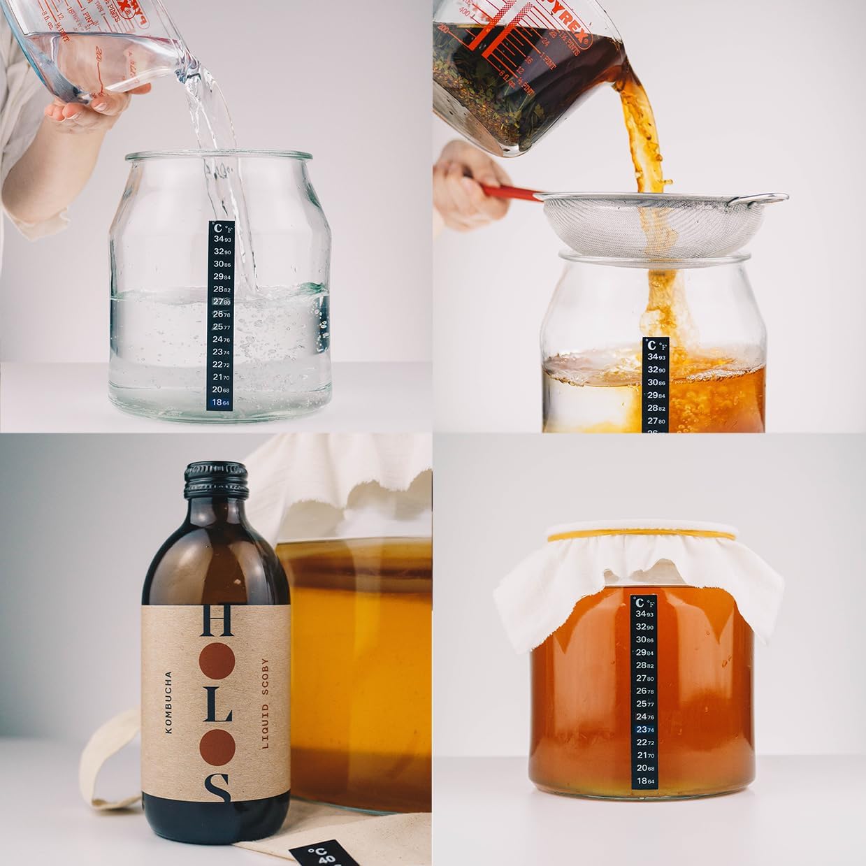 HOLOS Kombucha Starter Kit - Kombucha Kit with Liquid SCOBY - HOLOS Signature Tea Kombucha Making Kit for Home Brew with SCOBY Kombucha Starter - Foodie Gift Ideas : Amazon.co.uk: Home & Kitchen