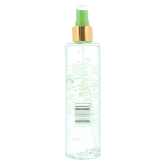 Love2Love Fragrance Mist Eau De Toilette Spray, Jasmine/Sparkling Mimosa, 8 Fluid Ounce