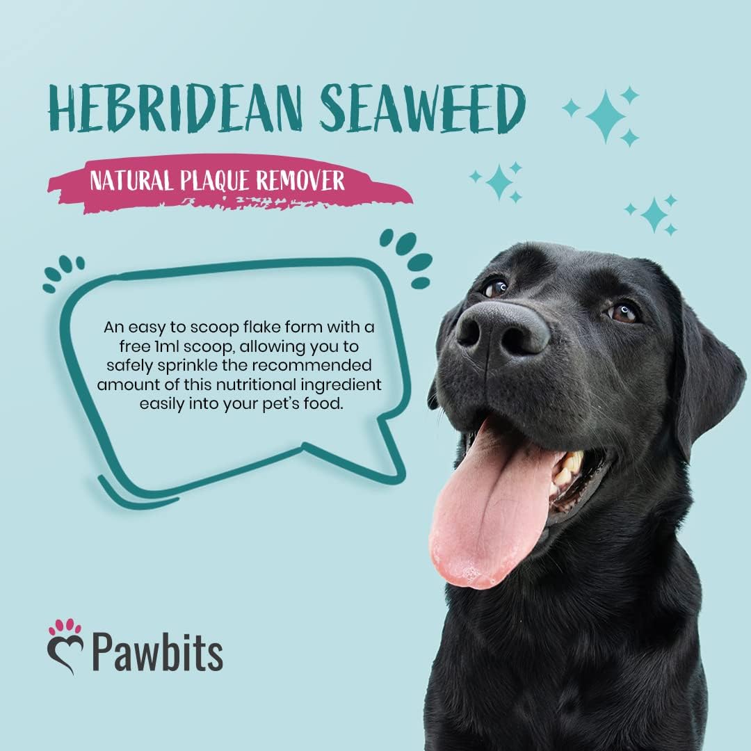 Pawbits 100% Seaweed for Dogs Teeth - Sustainably Harvested Natural Tartar & Plaque Removing Flakes with Vitamins & Minerals to Combat Bad Breath Suitable For Cats :Pet Supplies