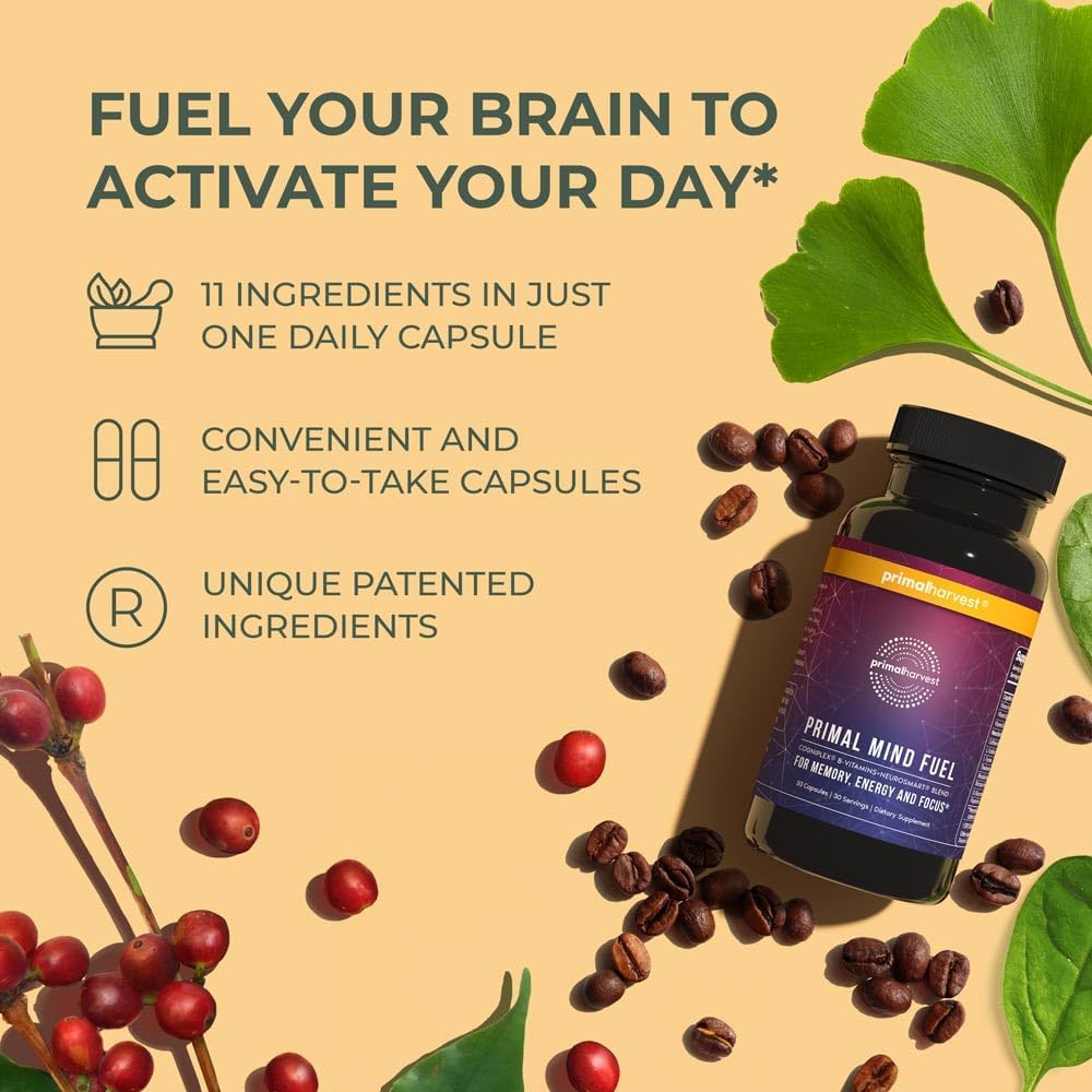 Brain Supplement by Primal Harvest, Primal Mind Fuel Brain Booster for Focus, Energy, Clarity, and Brain Health 30 Capsules Nootropics Brain Support Supplement for Men and Women : Health & Household