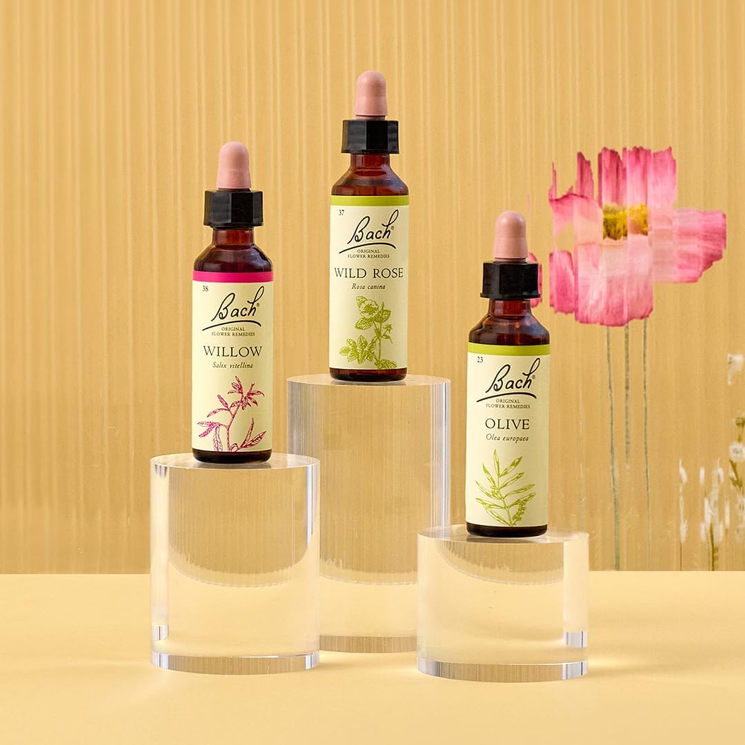 Bach Original Flower Remedies (Chestnut Bud) Live The Day, Learn from Mistakes, Emotional Wellness, Natural Flower Essence, 20ml (Pack of 5) : Amazon.co.uk: Health & Personal Care