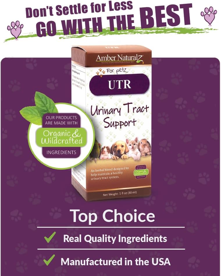 Amber Naturalz Utr Urinary Tract Herbal Supplement For Dogs, Cats, Birds, Guinea Pigs, And Rabbits | Pet Herbal Supplement For Bladder Support | 4 Fluid Ounce Glass Bottle | Manufactured In The Usa : Pet Supplements And Vitamins : Pet Supplies