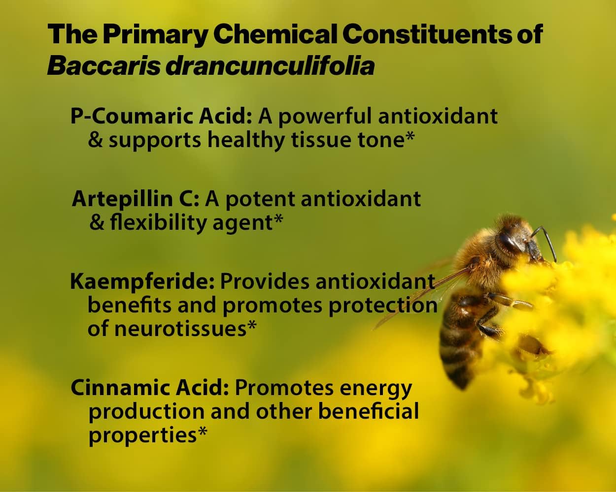 Dr. Ohhira'S Propolis Plus With Brazilian Green Propolis, 120 Capsules : Health & Household
