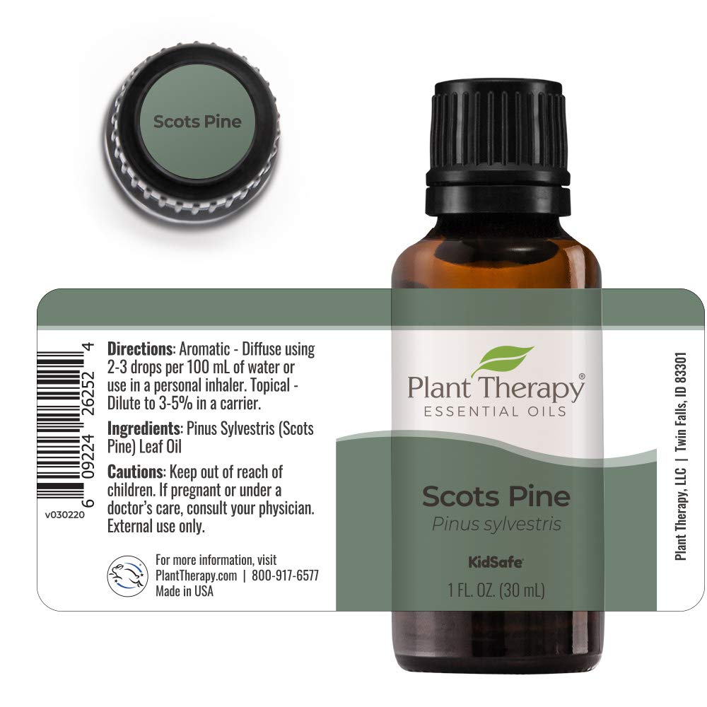 Plant Therapy Scots Pine Essential Oil 30 mL (1 oz) 100% Pure, Undiluted, Therapeutic Grade : Health & Household