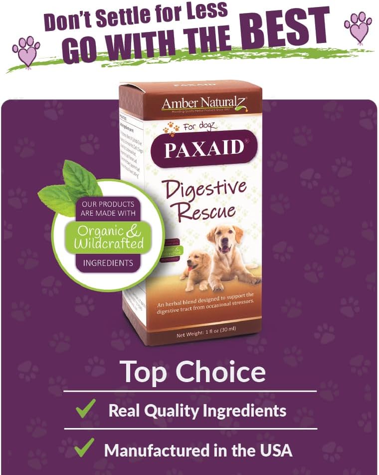 Amber Naturalz Paxaid Digestive Rescue Herbal Supplement For Dogs And Puppies | Canine Herbal Supplement For Occasional Digestive Upset Support | 4 Fluid Ounce Glass Bottle | Manufactured In The Usa : Pet Supplies
