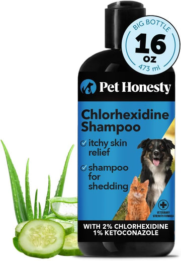 Pet Honesty Chlorhexidine Cat & Dog Anti-Itch Shampoo, For Allergies, Itching, Dog Skin And Coat Supplement, Helps Shedding, Hot Spots, Deodorizing Dog Shampoo, Dog Grooming Supplies,16Oz