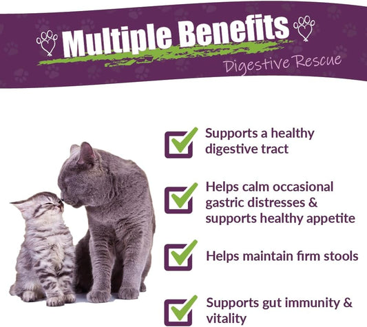 Amber Naturalz Kitty-Dt Digestive Rescue Herbal Supplement For Cats | Feline Herbal Supplement For Occasional Upset And Digestive Support | 1 Fluid Ounce Glass Bottle | Manufactured In The Usa
