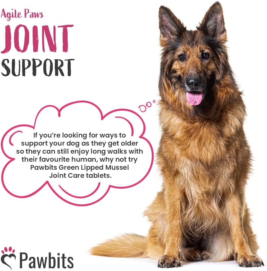 Pawbits 120 Adult Senior Dog Hip & Joint Supplements for Older Mature Dogs. High Strength Green Lipped Mussel Supplement for Elderly Dogs with Stiff Joints - Glucosamine, Vitamin C & E :Pet Supplies
