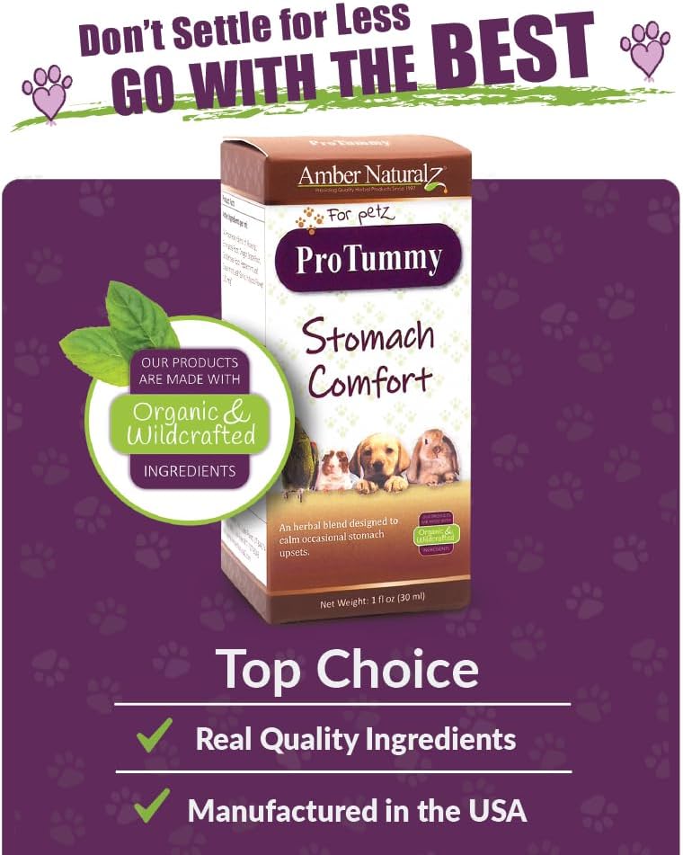 Amber Naturalz Protummy Stomach Comfort Herbal Blend For Dogs, Bird, Guinea Pigs, And Rabbits | Herbal Supplement For Occasional Upset Stomach | 1 Fluid Ounce Glass Bottle | Manufactured In The Usa : Pet Digestive Remedies : Pet Supplies