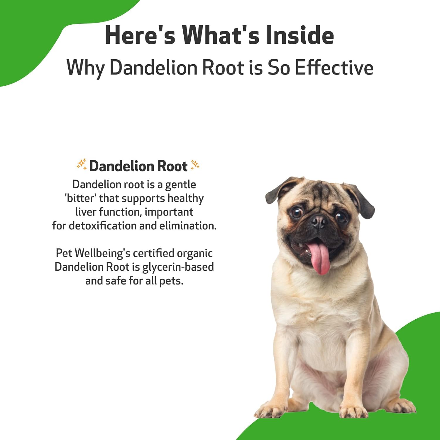 Pet Wellbeing Dandelion Root for Dogs - Liver, Digestive, Cardiovascular, Blood Sugar Support - Natural Herbal Supplement 2 oz (59 ml) : Pet Supplies