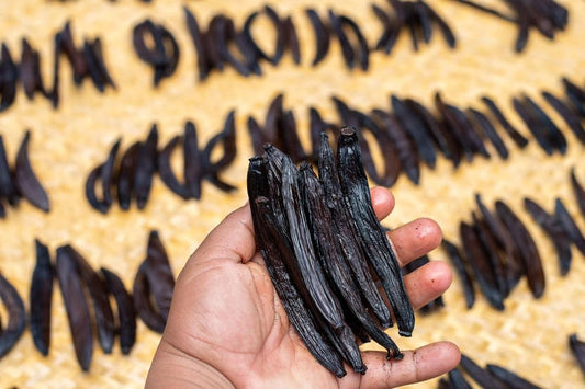 10 Guatemalan Vanilla Beans Whole Grade A Vanilla Pods For Homemade Vanilla Extract, Baking, Ice Cream, Flavoring, & Vanilla Powder