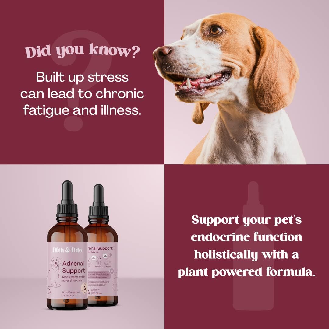 Kidney Support for Dogs - Kidney Support for Cats & Dogs - Vet Approved Dog Kidney Support - Kidney Detox Dog Liver Supplement - Adrenal Support for Dogs -Healthy Kidney Dog Food Additive : Pet Supplies