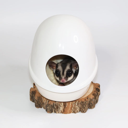 Press N' Slide Feed Station (With Dome) - Durable Mounted No Mess Anti-Spill Food Bowl Dish - Sugar Gliders, Flying Squirrels, Small Parrots, Parakeets, Lovebirds, Cockatiels & Small Pets