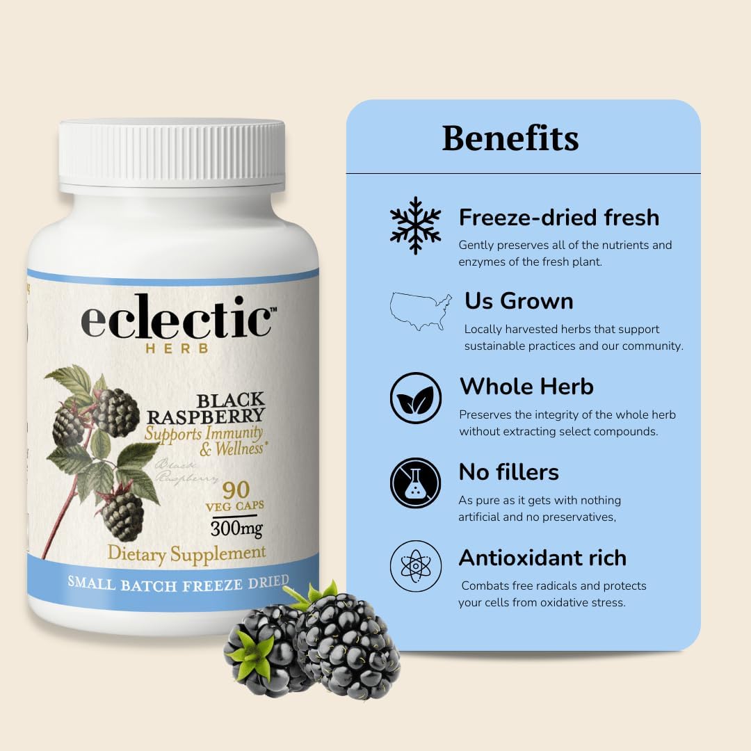 ECLECTIC INSTITUTE Raw Freeze-Dried Non-GMO Black Raspberry Capsules | Antioxidant Flavonoid Support | 90 CT : Health & Household