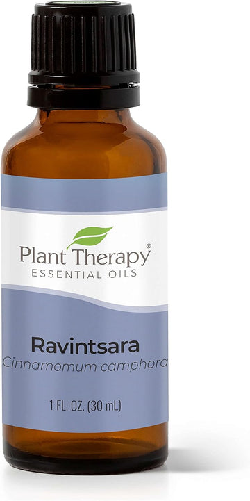 Plant Therapy Ravintsara Essential Oil 30 Ml (1 Oz) 100% Pure, Undiluted, Therapeutic Grade