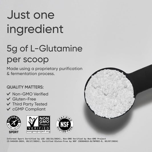 Sports Research L-Glutamine - Workout Recovery, Immune Health & Gut Health Support - 5 G Per Serving - 10.58 Oz