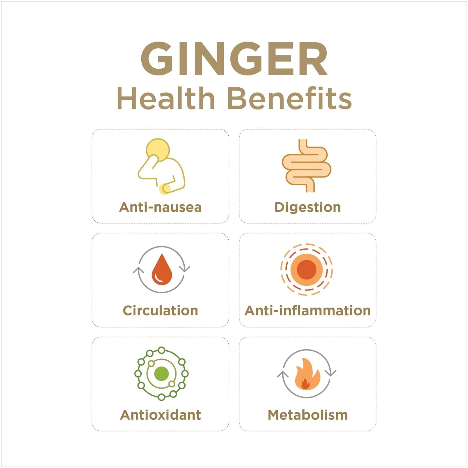 Lemon and Honey Gingerade, Ginger Soother by The Ginger People – Drug Free Digestive Health, Lemon and Honey Flavor, Premium Quality Ginger Juice - 32 Oz (Pack of 12) : Grocery & Gourmet Food