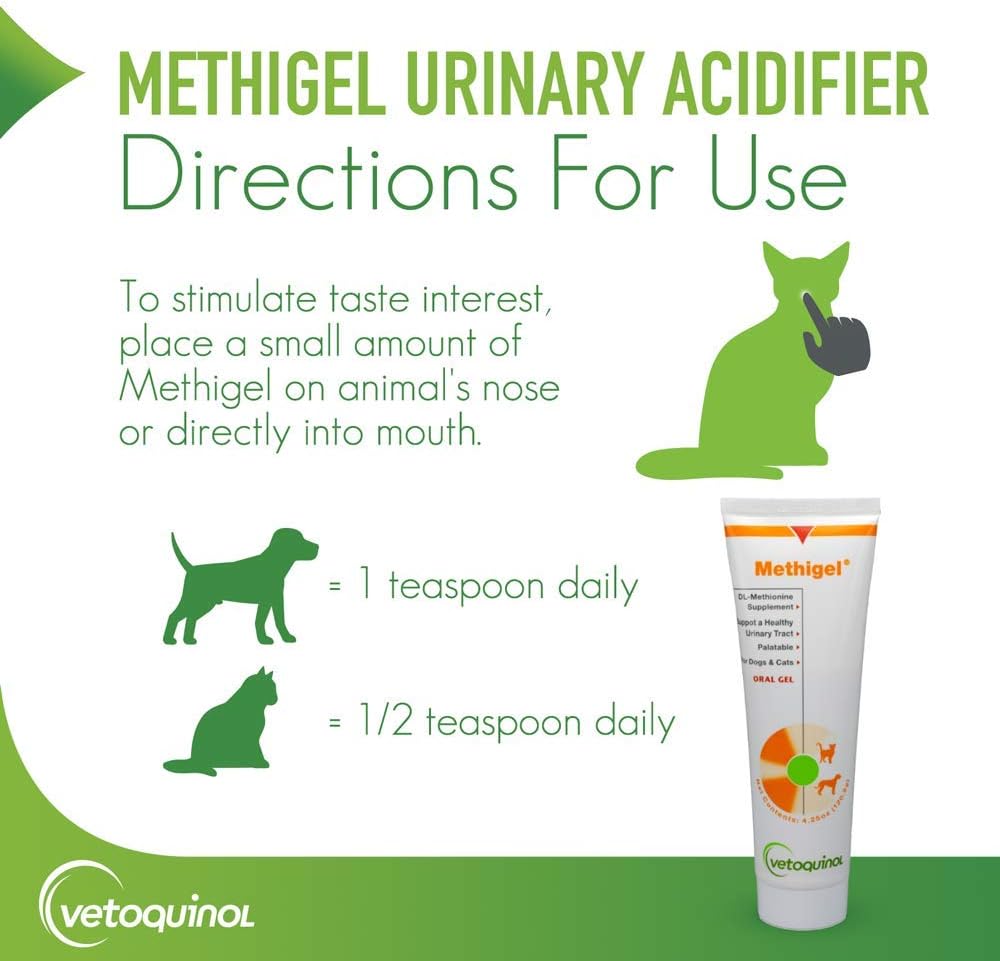 Vetoquinol Methigel Urinary Acidifier to Promote Urinary and Bladder Health for Dogs & Cats : Pet Supplies