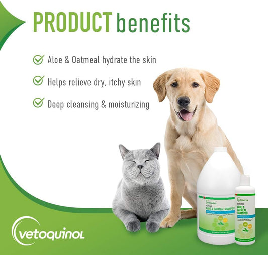 Vetoquinol Aloe & Oatmeal Shampoo — Gentle, Moisturizing Formula with Coconut Scent for Dogs & Cats, 16oz