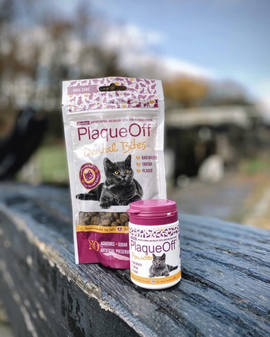 ProDen PlaqueOff Dental Bites Cat 60 g For Cats Bad Breath, Plaque, Tartar Brown,package may vary :Pet Supplies