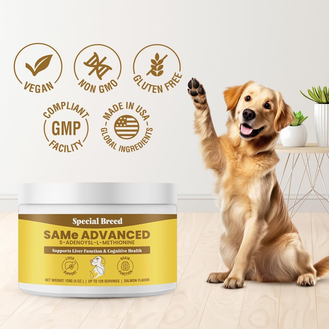 Special Breed Same for Dogs - S-Adenosyl-L-Methionine, Same Advanced, Liver Support Supplement for Dogs, Brain and Cognitive Support, Sam e for Dogs (120 Grams) : Pet Supplies