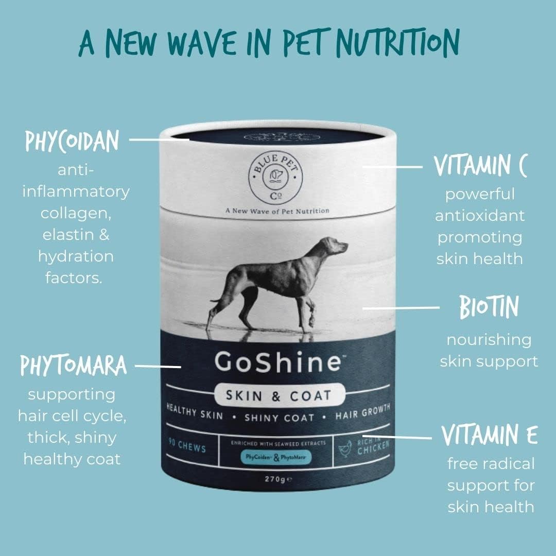 Blue Pet Co - GoShine Skin & Coat Health Supplement for Dogs - Promotes Healthy Skin, Shiny Coat & Hair Growth - Enriched with Unique Seaweed Complexes - Rich in Chicken - 10 Chews : Amazon.co.uk: Pet Supplies