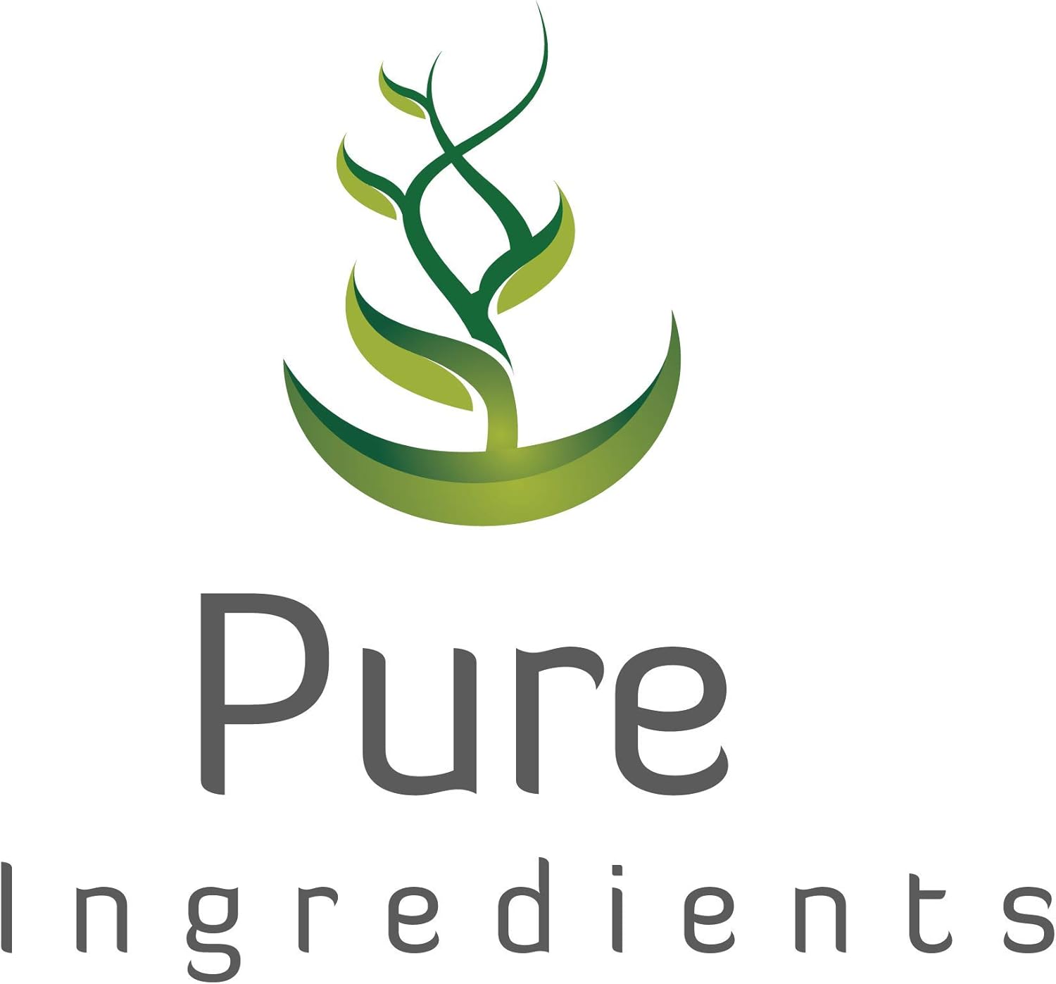PURE ORIGINAL INGREDIENTS Blueberry Extract (365 Capsule), No Magnesium Or Rice Fillers, Always Pure, Lab Verified : Health & Household