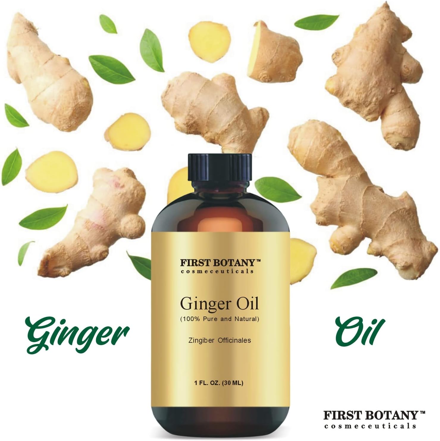 First Botany, 100% Pure Ginger Essential Oil - Premium Ginger Oil for Aromatherapy, Massage, Topical & Household Uses - 1 fl oz (Ginger) : Health & Household