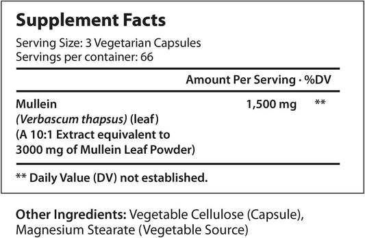 Mullein Leaf 1500Mg | 200 Vegetarian Capsules | 10:1 Extract 3000 Mg Strength | Verbascum Thapsus Pure Natural Powder | Non-Gmo Gluten Free | Made In Usa Vitamin | Herbal Supplement