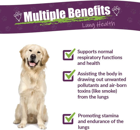 Amber Naturalz Numo Care Lung Health Herbal Supplement For Dogs | Canine Herbal Supplement For Bronchial Support And Respiratory Lung Health | 4 Fluid Ounce Glass Bottle | Manufactured In The Usa