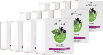 ATTITUDE Air Purifier, Activated Carbon Freshener, Odor Remover, Plant and Mineral-Based, Vegan, Coriander and Olive, 8 Ounces (Pack of 12)