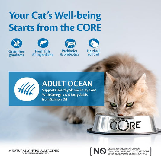 Wellness CORE Adult Ocean, Dry Cat Food, Cat Food Dry For Healthy Skin And Shiny Coat, Grain Free, High Fish Content, Salmon & Tuna, 300 G?10714