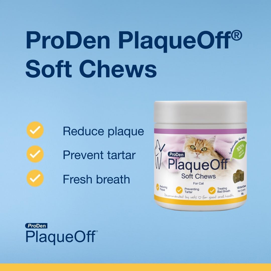 Proden PlaqueOff Dental Soft Chews For Cats to help remove Bad Breath, Plaque & Tartar :Pet Supplies