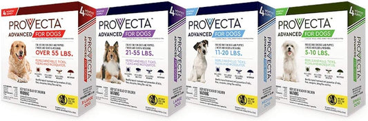 Provecta 4 Doses Advanced for Dogs, Medium/11-20 lb : Pet Supplies