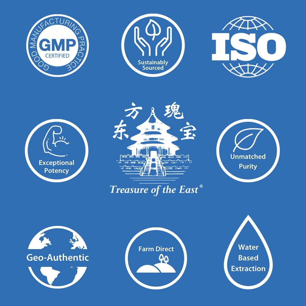 Treasure Of The East, Angelica & Mistletoe Combination - Du Huo Ji Sheng Tang (5:1 Concentrated Herbal Extract, 100 Capsules) : Health & Household