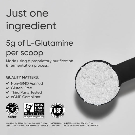 Sports Research L-Glutamine - Workout Recovery, Immune Health & Gut Health Support - 5 G Per Serving - 17.64 Oz