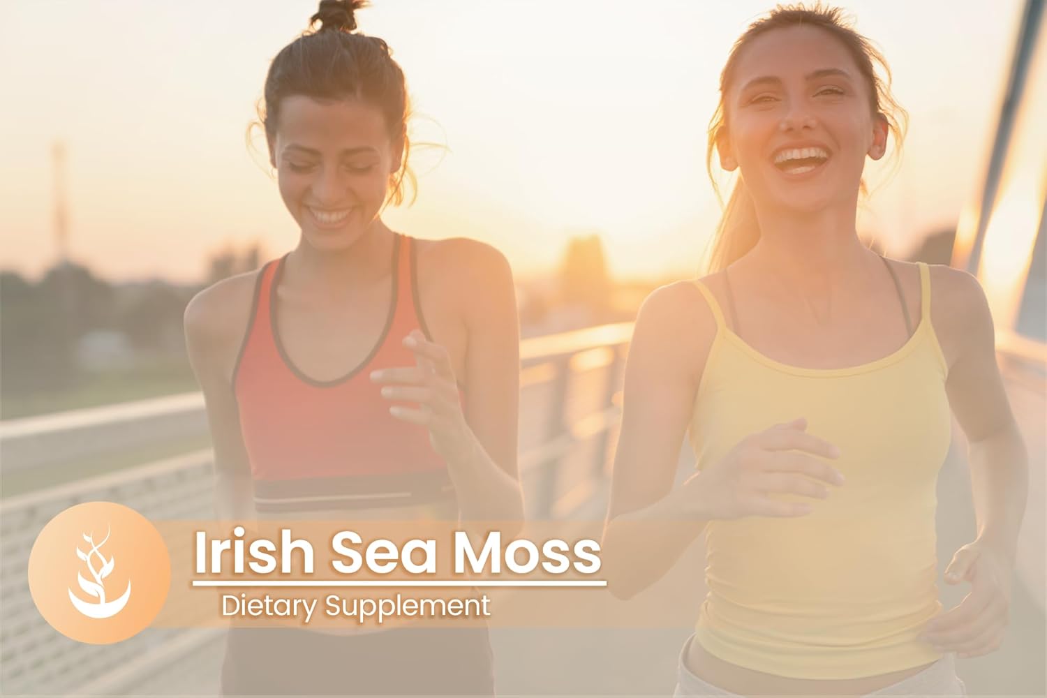 Pure Original Ingredients Irish Sea Moss (100 Capsules) Always Pure, No Additives Or Fillers, Lab Verified : Health & Household