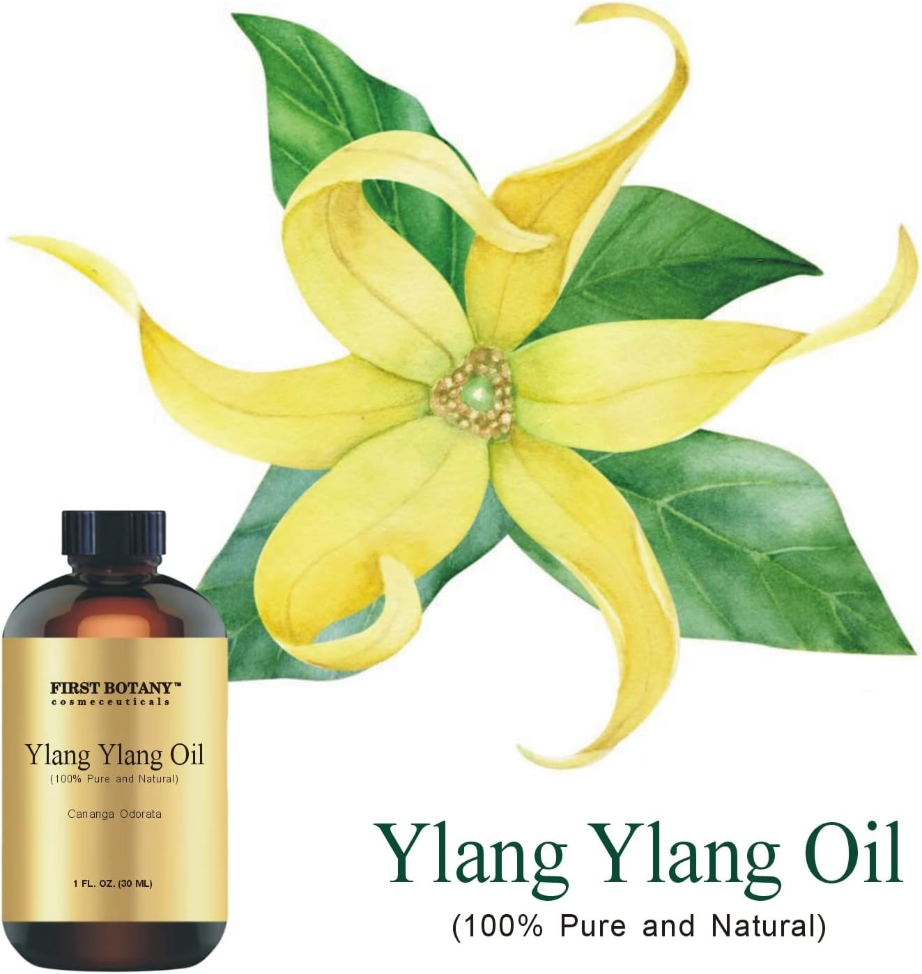 100% Pure Ylang Ylang Oil - Premium Ylang-Ylang Essential Oil for Arom