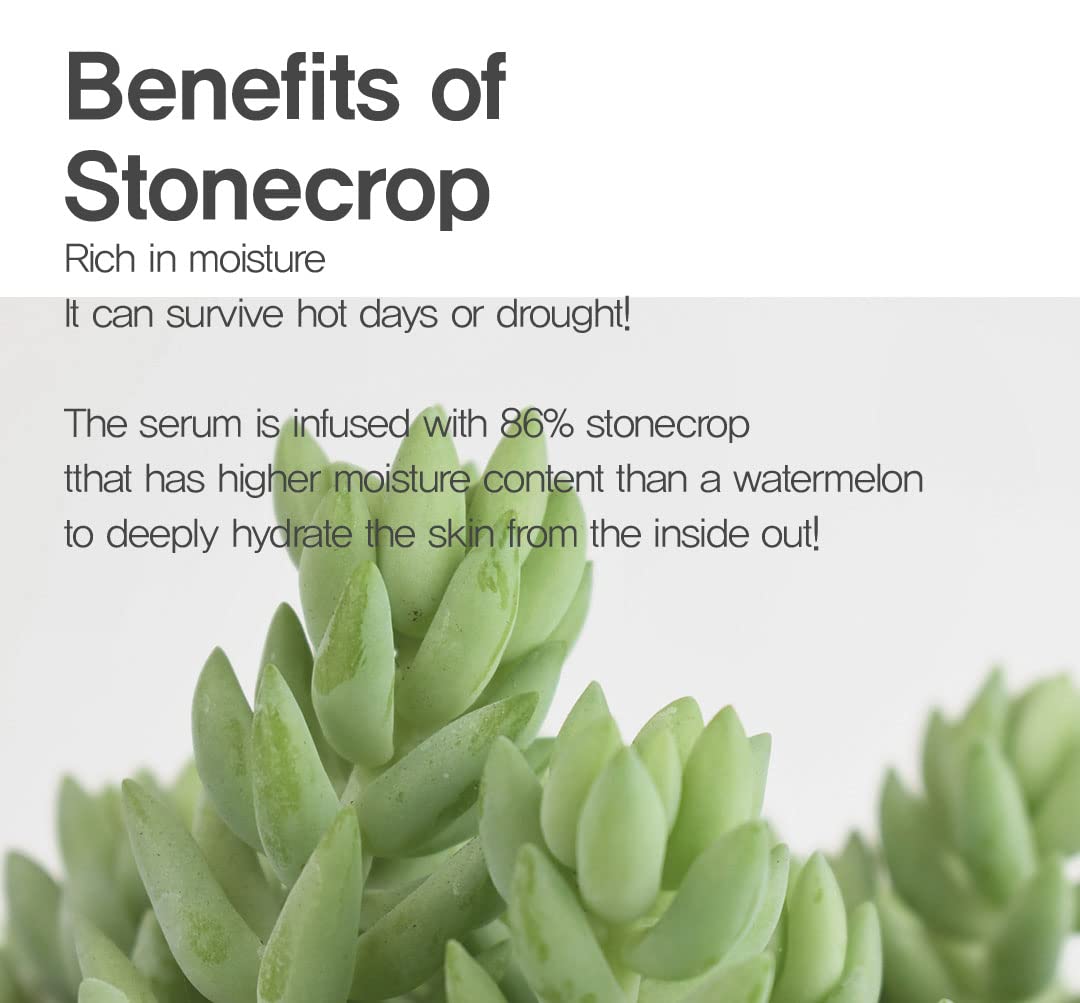 Huecalm Waterful Barrier Cream With Opuntia Humifusa | 2.46 Fl Oz | Vegan, Korean Skincare : Beauty & Personal Care