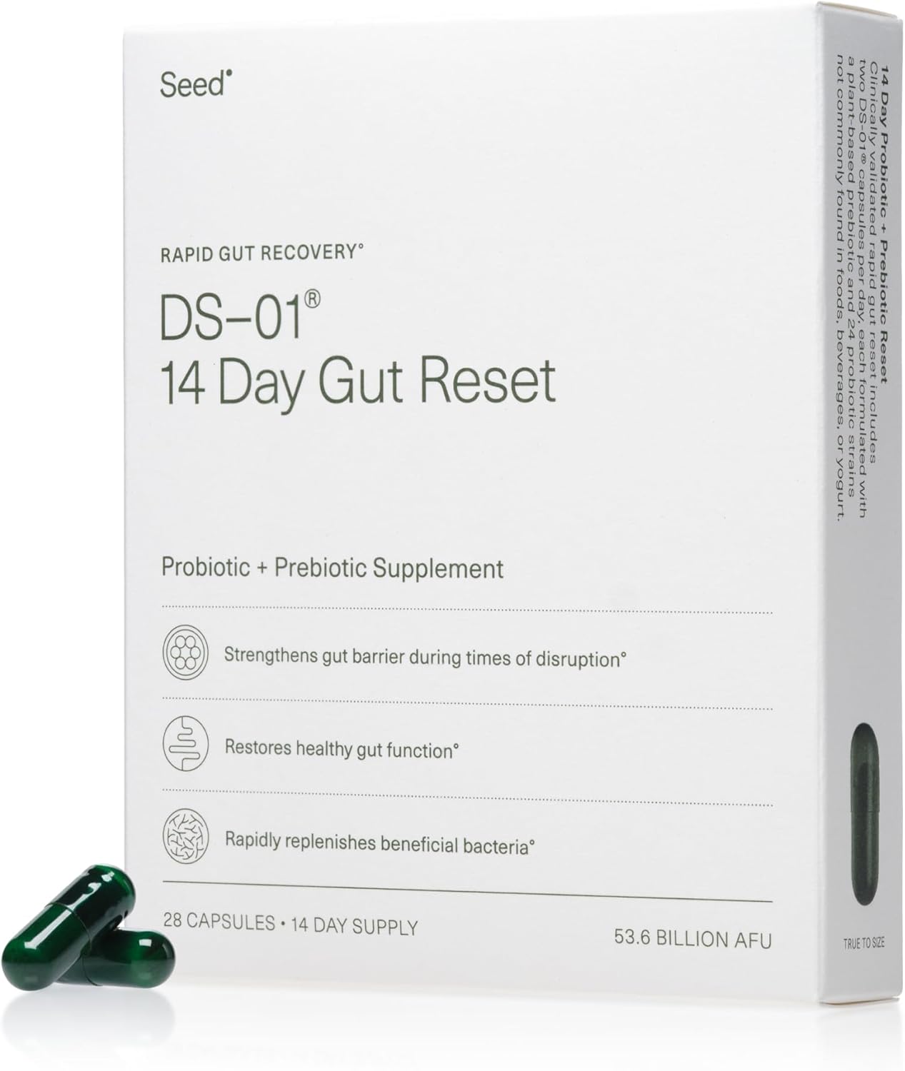 Seed 14 Day Gut Reset - Prebiotic And Probiotic For Women & Men - Digestive Health, Gut Health, Rapid Gut Recovery, Bloating & Constipation Relief - Vegan & Shelf-Stable - 28 Capsules (14-Day Supply)