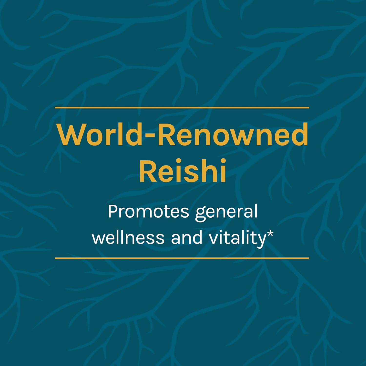 Host Defense, Reishi Capsules, Supports General Wellness and Vitality, Mushroom Supplement, Unavored, 30 Count (Pack of 1)