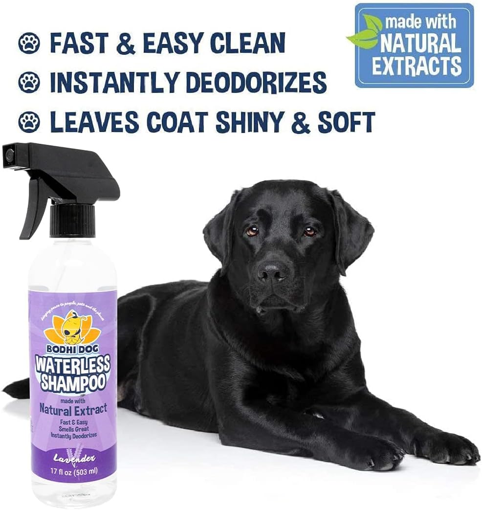 Bodhi Dog Waterless Shampoo | Natural Dry Shampoo for Dogs or Cats | Neutralizes Pet Odor | No Rinse Required | Made with Natural Extracts | Vet Approved- Made in USA (Lavender, 17 Fl Oz)