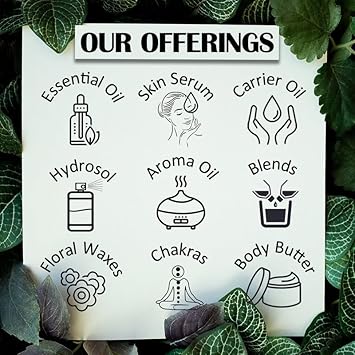 Deve Herbes Pure Myrtle Essential Oil (Myrtus Communis) Steam Distilled 10Ml (0.33 Oz) : Health & Household
