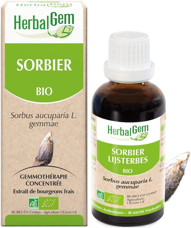 Herbalgem - Mother Macerate - Organic Rowan - Nutritional Supplement Gemmotherapy Concentrated - Fresh Bud Extract - For Body Tone, Immune Defenses, Stress - Vegan - 30 Ml