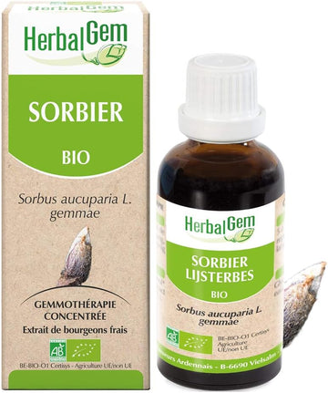 Herbalgem - Mother Macerate - Organic Rowan - Nutritional Supplement Gemmotherapy Concentrated - Fresh Bud Extract - For Body Tone, Immune Defenses, Stress - Vegan - 30 Ml
