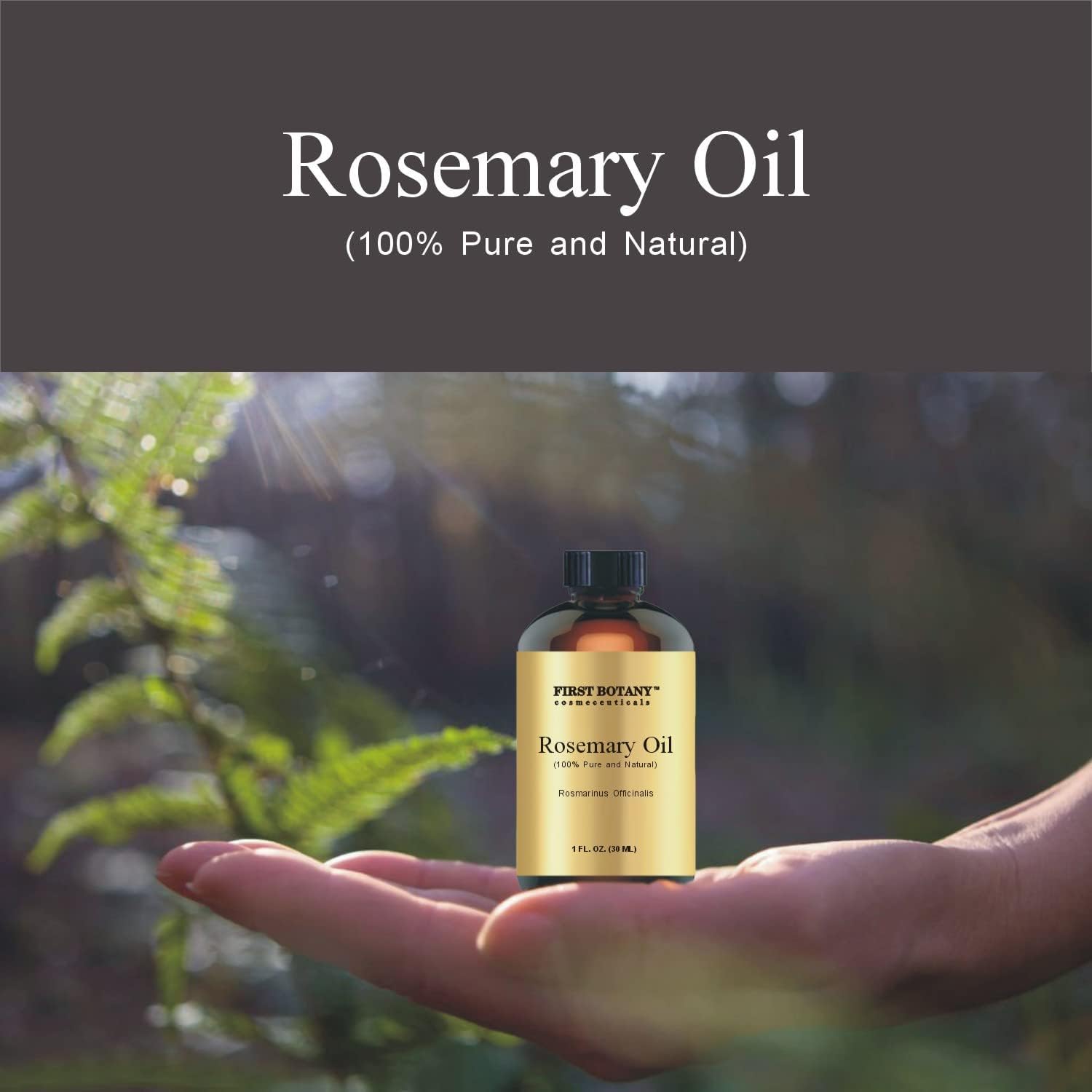 100% Pure Rosemary Essential Oil - Premium Rosemary Oil for Aromathera